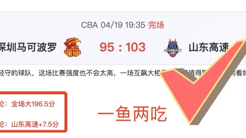 大乐透期号专家推荐：印尼超万隆质合分析及前区十码预测