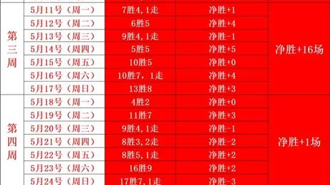 篮球盛宴新西联对，篮球比赛比分，决，亮点盘点信心满满不容错过